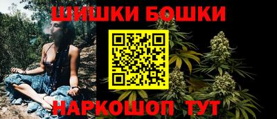 индика Кулебаки