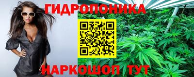 индика Кулебаки