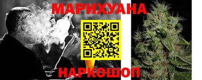 индика Кулебаки