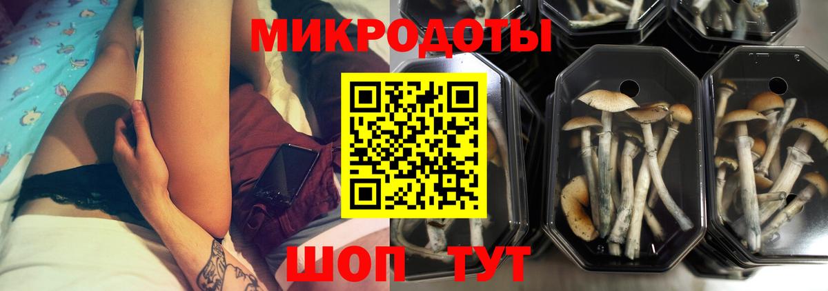 Галлюциногенные грибы Magic Shrooms Великий Новгород